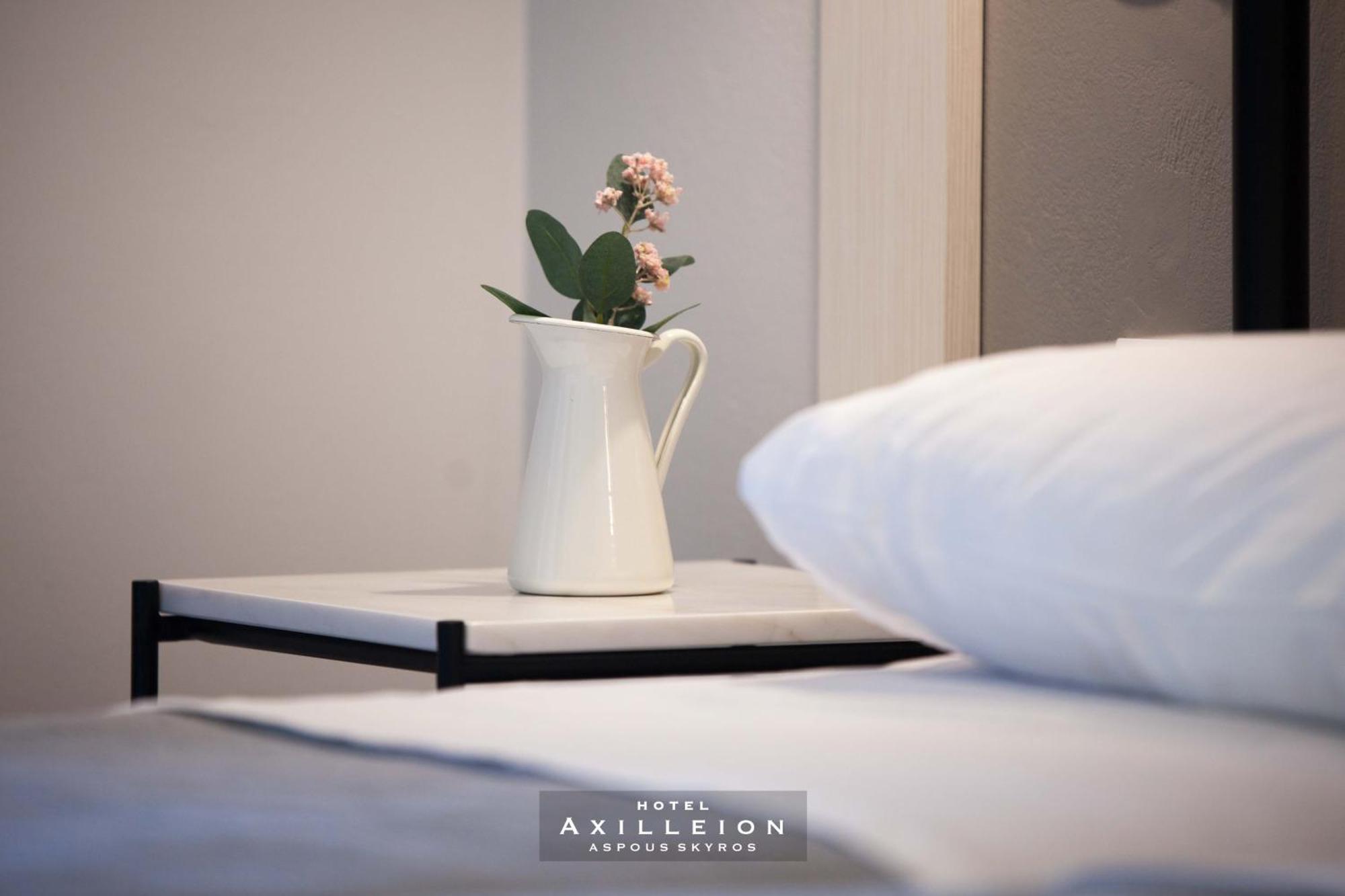 Achilleion Hotel スキロス エクステリア 写真