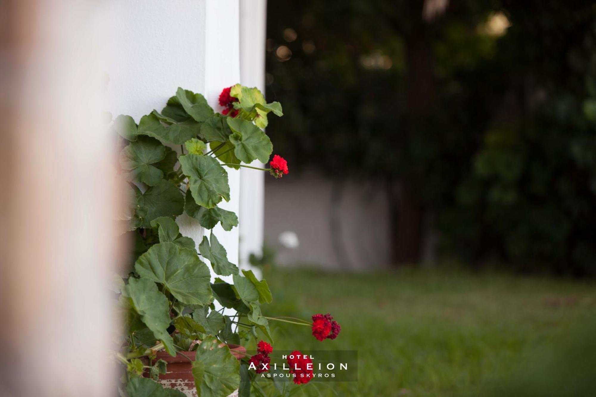 Achilleion Hotel スキロス エクステリア 写真