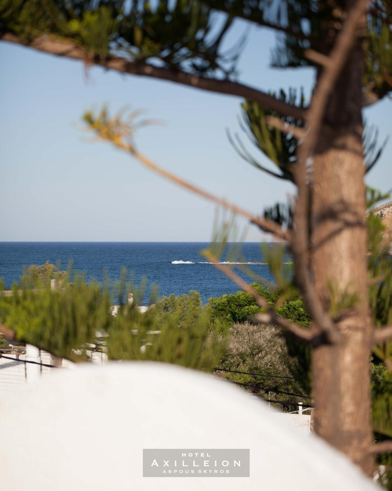 Achilleion Hotel スキロス エクステリア 写真