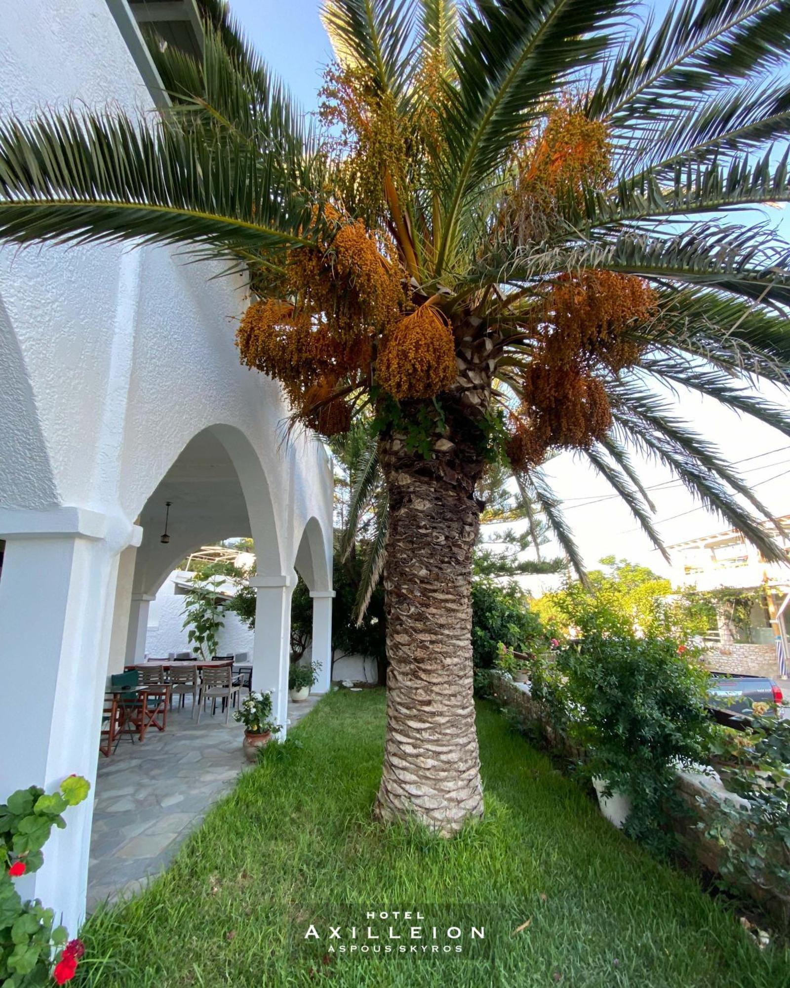 Achilleion Hotel スキロス エクステリア 写真