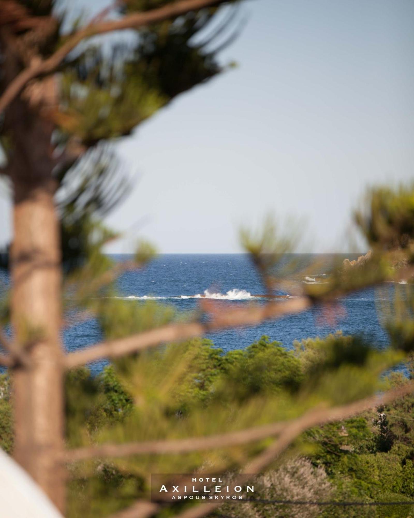 Achilleion Hotel スキロス エクステリア 写真
