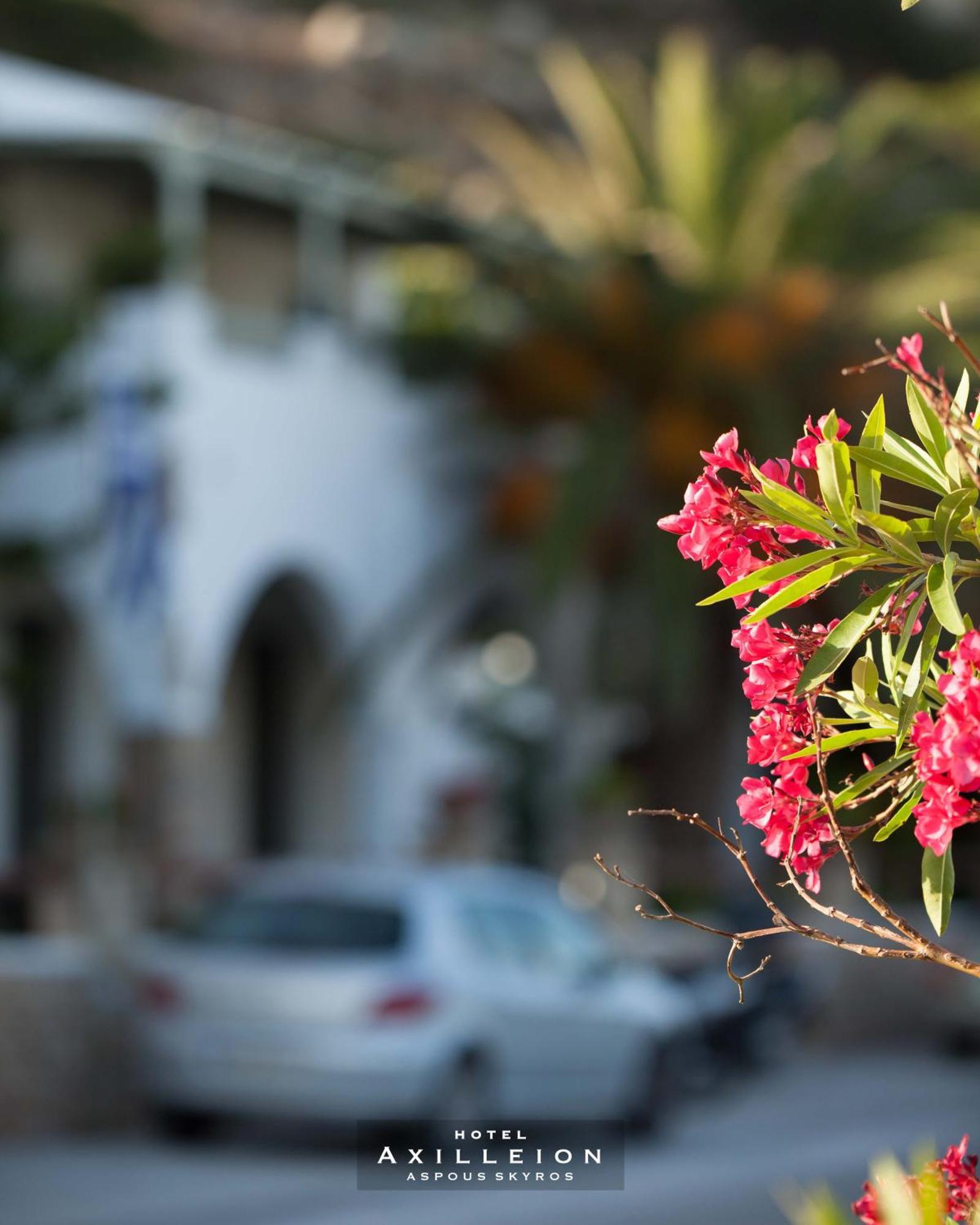 Achilleion Hotel スキロス エクステリア 写真