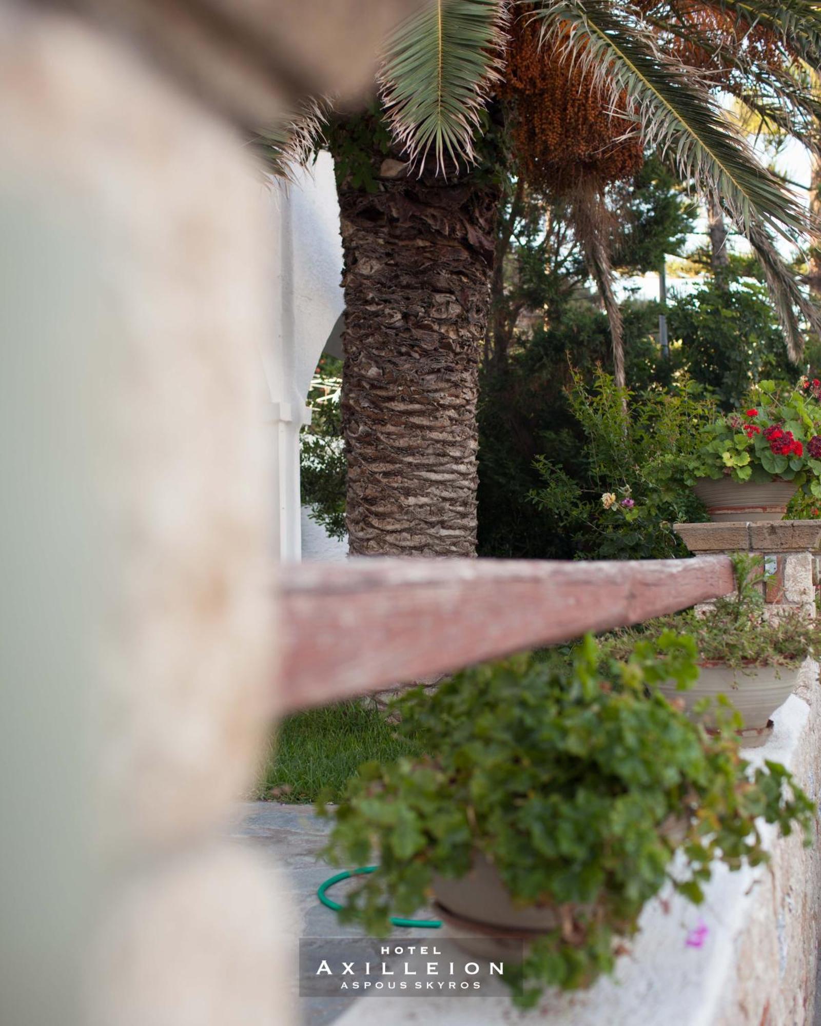 Achilleion Hotel スキロス エクステリア 写真