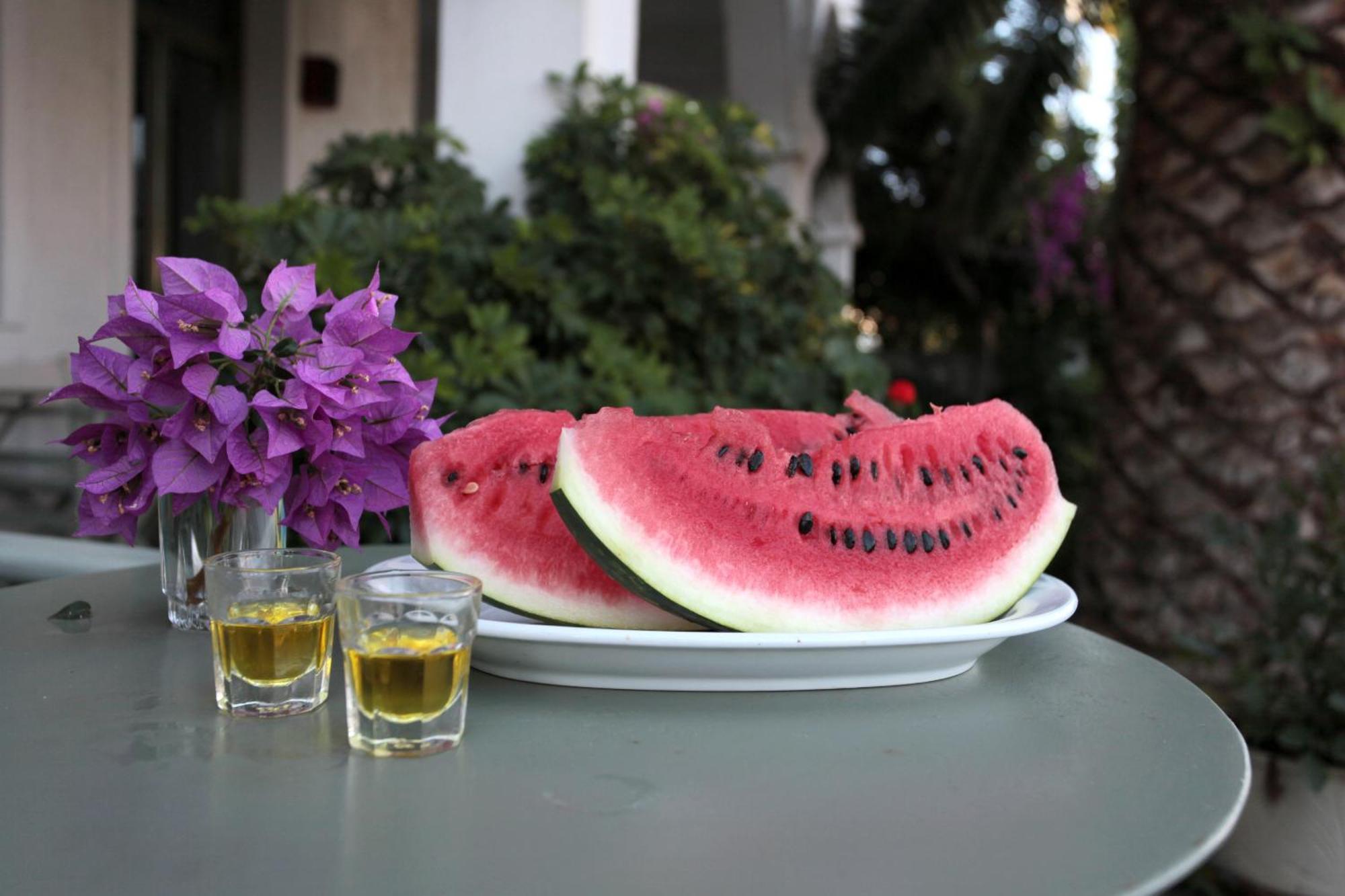 Achilleion Hotel スキロス エクステリア 写真